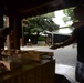 Revering the past: An exploration of Meiji shrine