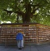Revering the past: An exploration of Meiji shrine