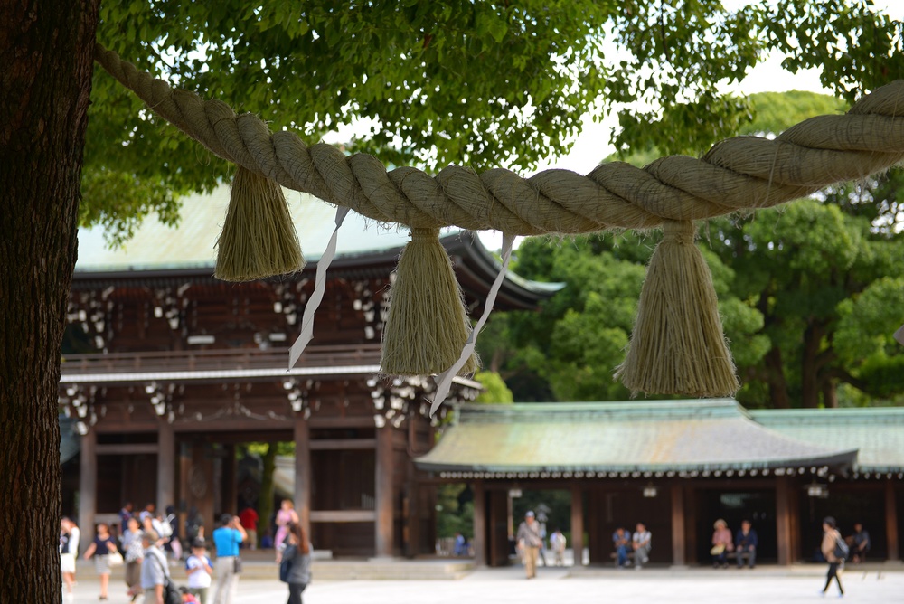 Revering the past: An exploration of Meiji shrine