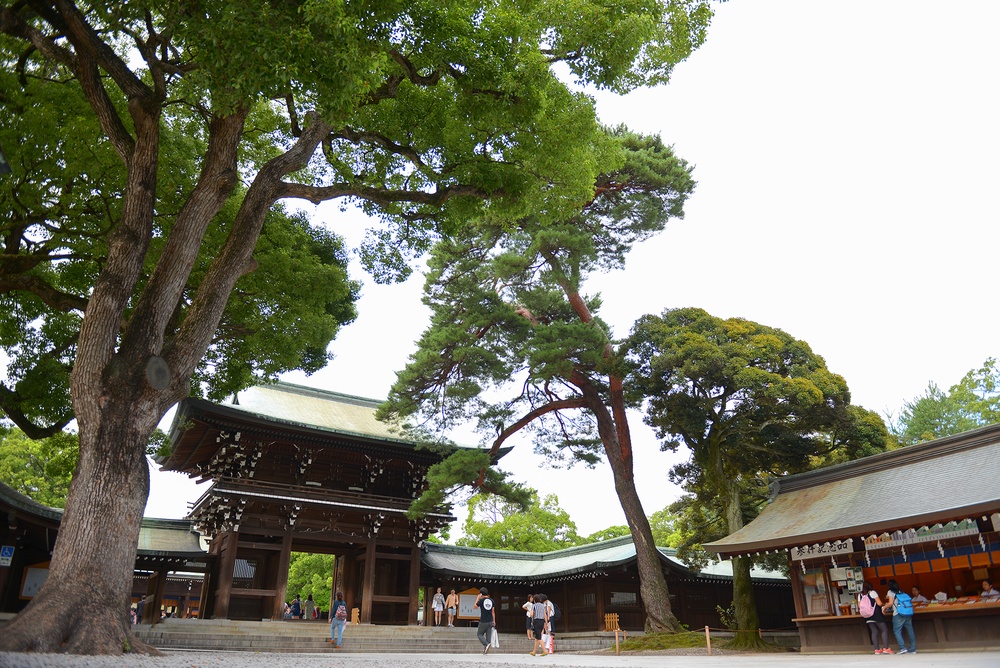 Revering the past: An exploration of Meiji shrine