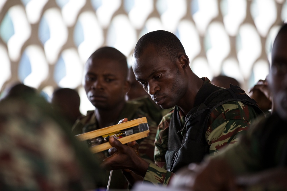 US, British Forces train Cameroon partners
