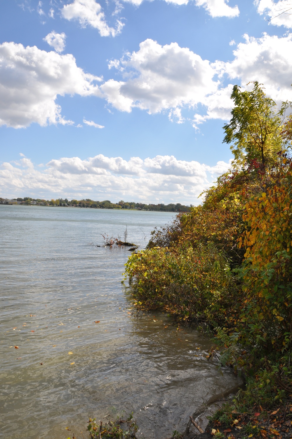 USACE awards contract to study seven Niagara River AOCs
