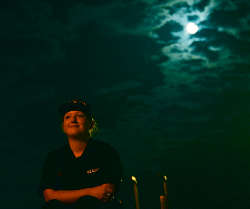 Week in the life 2015