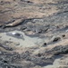 Hawaiian monk seal observation flight