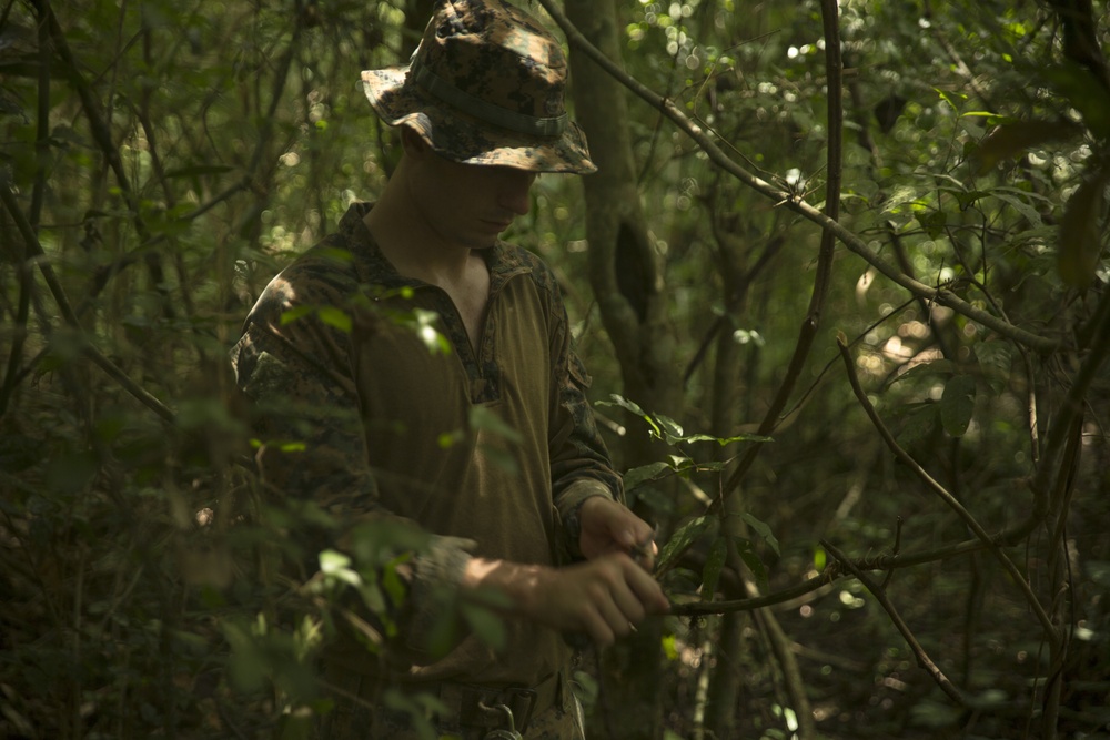 Philippine, US Recon Marines learn to survive in the jungle during PHIBLEX 2015
