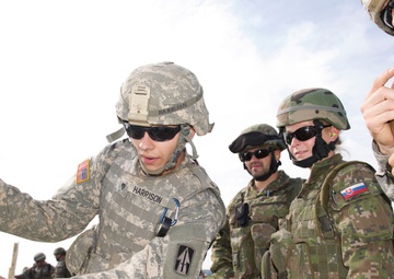 Reassurance partners, Indiana and Slovakia exchange forces