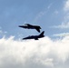 Patriots Jet Team performs at 2015 MCAS Miramar Air Show