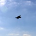 Harrier shows off during 2015 MCAS Miramar Air Show