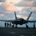 F-35 Lightning II begins DT-II aboard USS Dwight D. Eisenhower F-35 Lightning II begins DT-II aboard USS Dwight D. Eisenhower