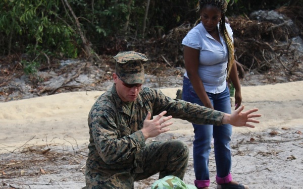 U.S., Gabon officials work together to counter wildlife trafficking