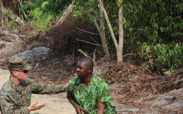 U.S., Gabon officials work together to counter wildlife trafficking