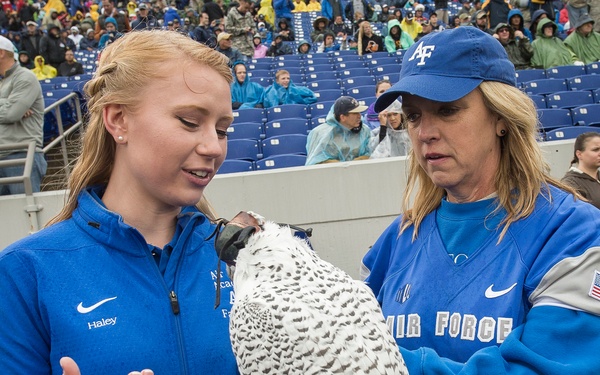Air Force Academy Football
