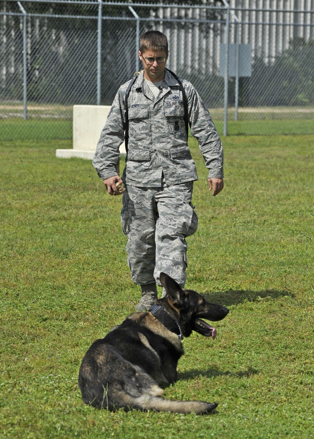 325th Security Forces Squadron military working dog training