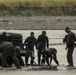 PHIBLEX 15 Artillery Live Fire