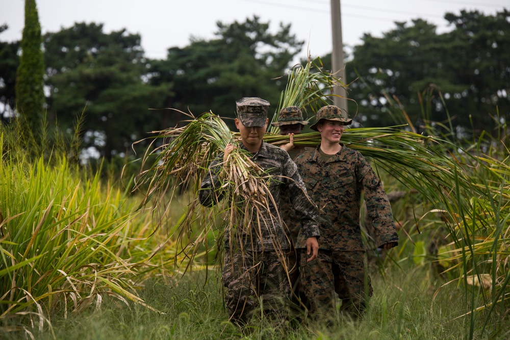 U.S. Marines help Korean farmers during KMEP 15-12