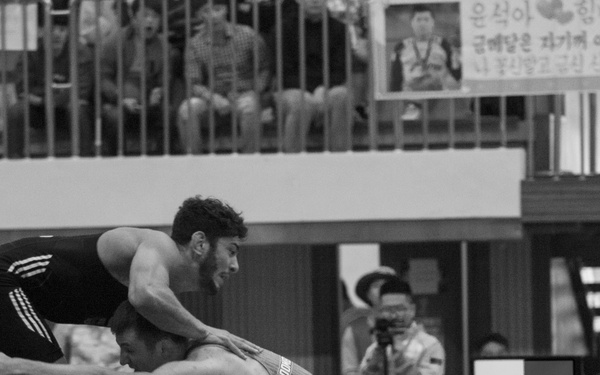 2015 6th CISM Men's Wrestling Freestyle