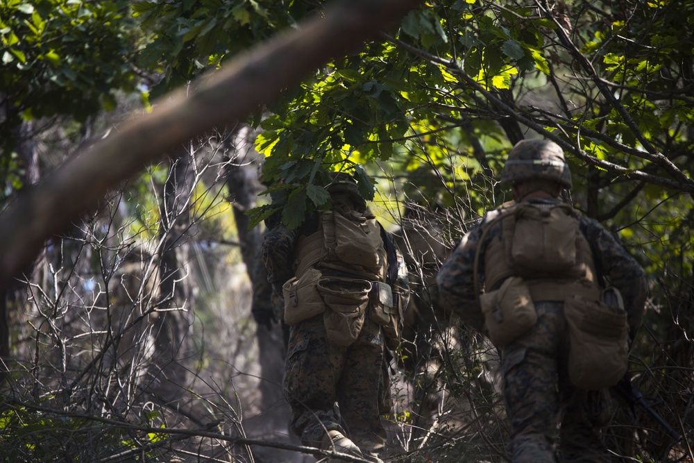 US, ROK Marines conduct battalion-sized training exercise in Korea