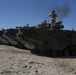 Amphibious Beach Raid