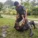 U.S. Marines with SCT-Guatemala, SPMAGTF-SC, lead the Brigada de Infanteria Marina in physical training