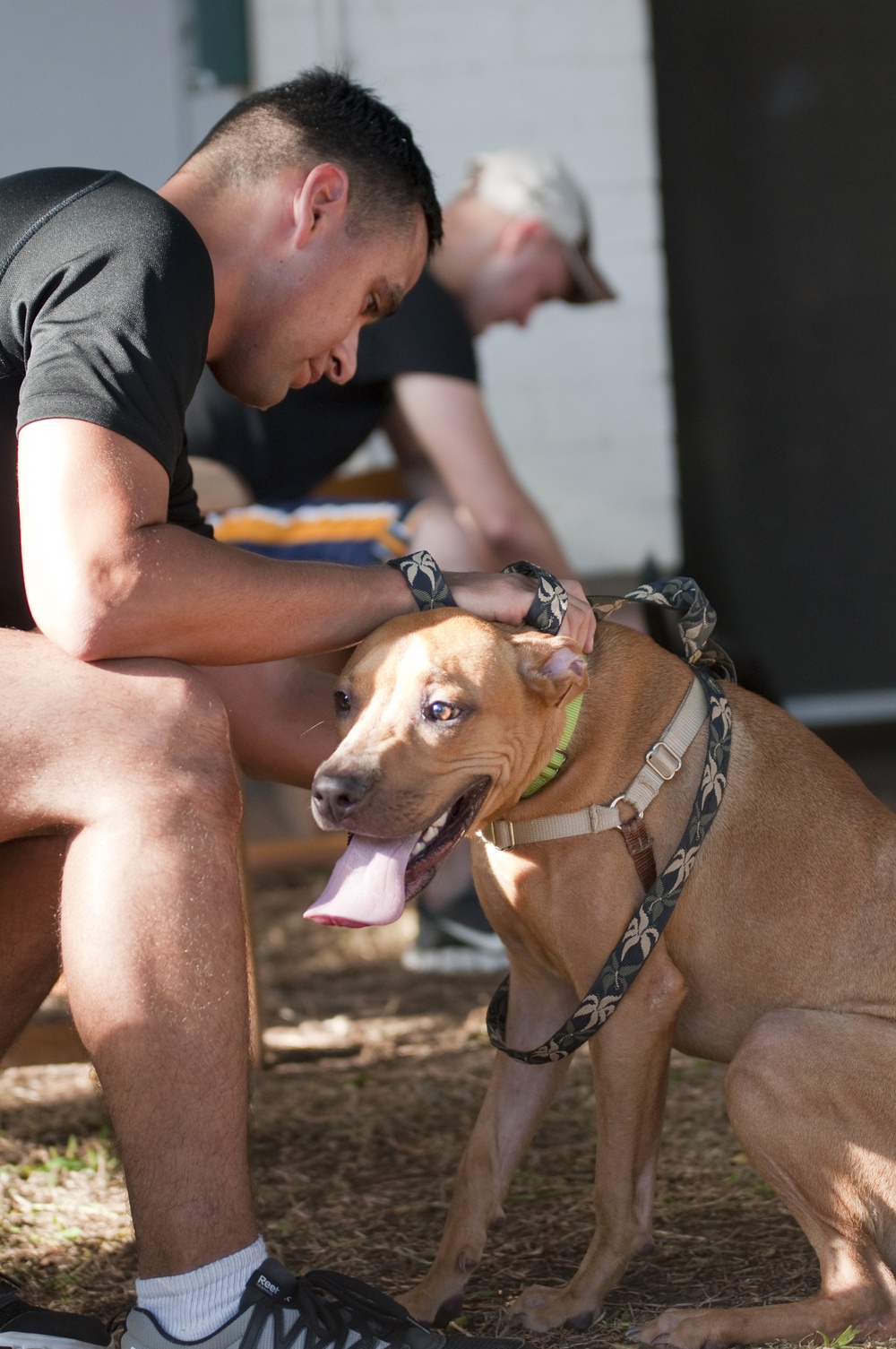 Marines, Sailors exercise, bond with dogs