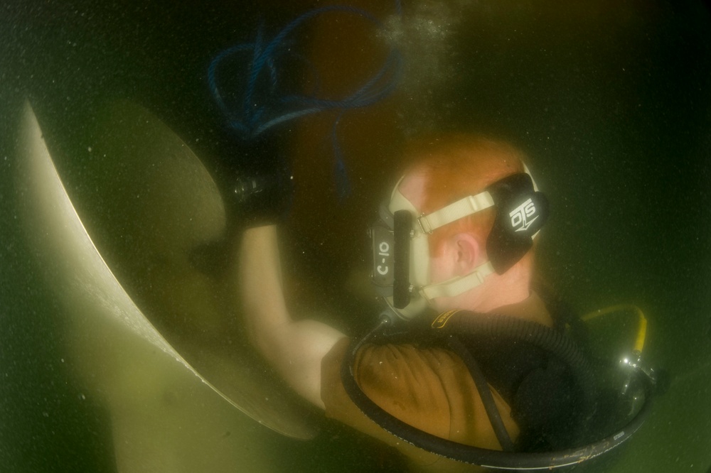 Ship's Husbandry Dive