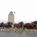 Budweiser Clydesdales