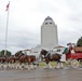 Budweiser Clydesdales