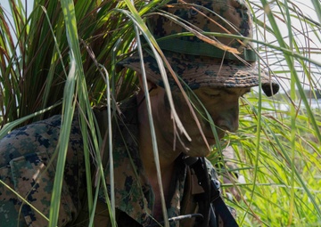 Amphibious Raid