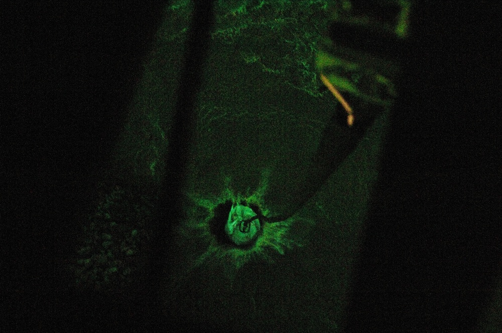 South Carolina flood