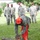203rd RED HORSE Squadron, Engineer Mobility Strike Team 203rd RED HORSE Squadron, Engineer Mobility Strike Team