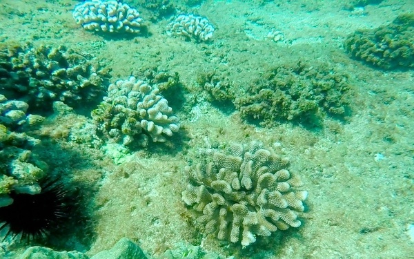 Coast Guard RDLP conducts ROV training off Oahu