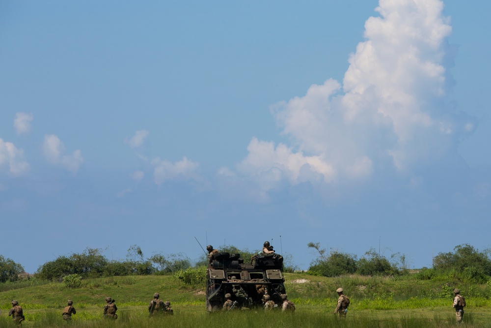 Amphibious Landing and Live Fire