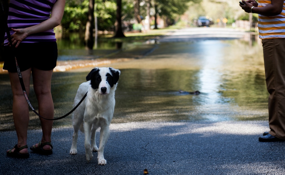 SC flood 2015