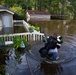 South Carolina National Guard flood response