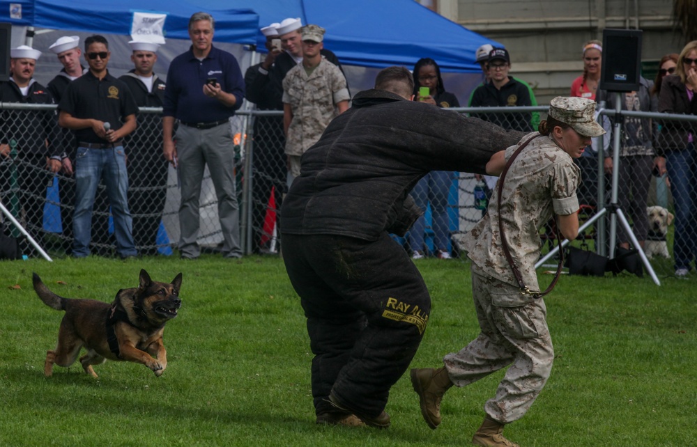 Man’s best friend demonstrates intelligence during San Francisco Fleet Week