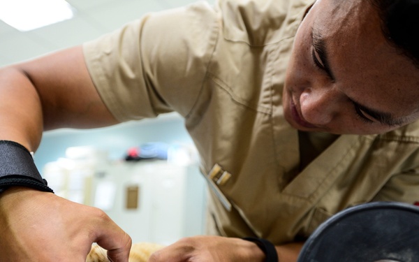 Veterinary detachment cares for feral animals