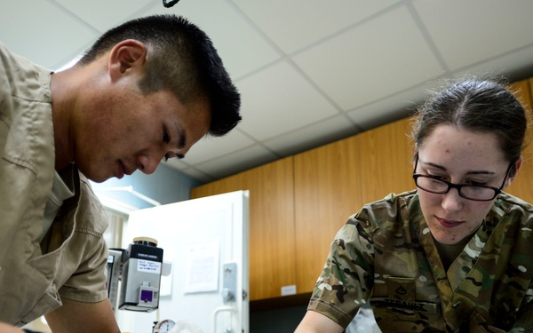 Veterinary detachment cares for feral animals