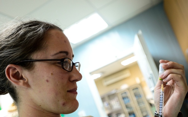 Veterinary detachment cares for feral animals