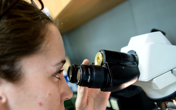 Veterinary detachment cares for feral animals