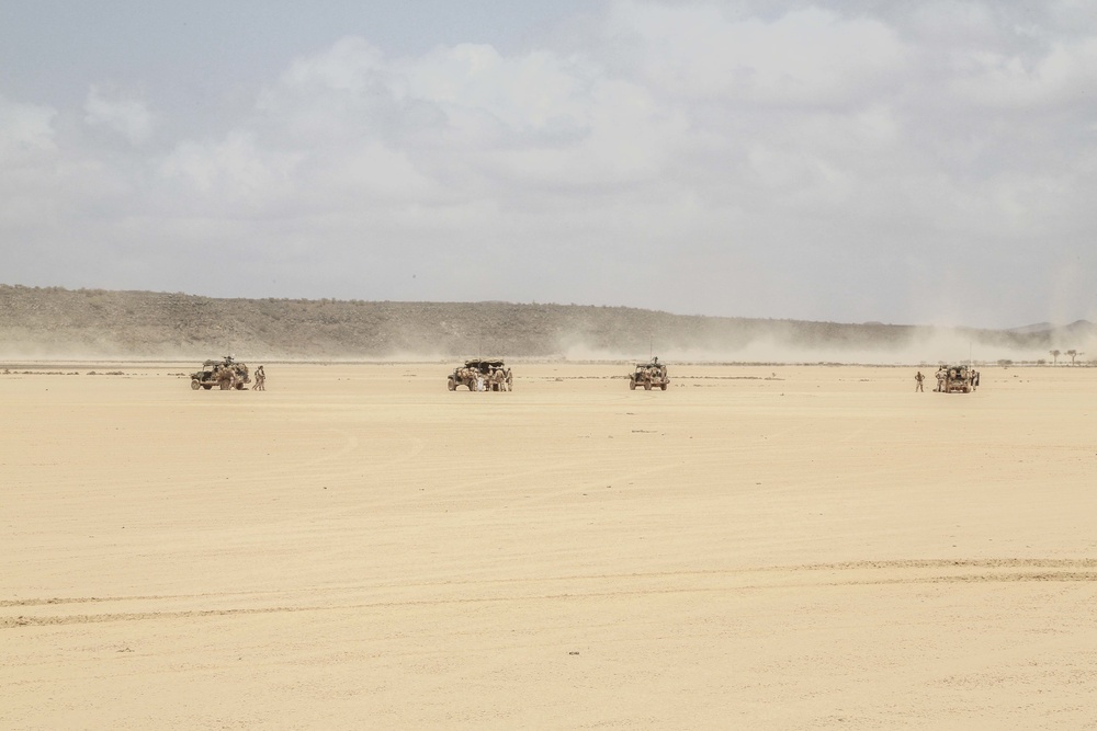 U.S. Marines, French set up to train in Djibouti