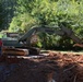 SCNG 124th Engineer Company performs hasty road and culvert repairs