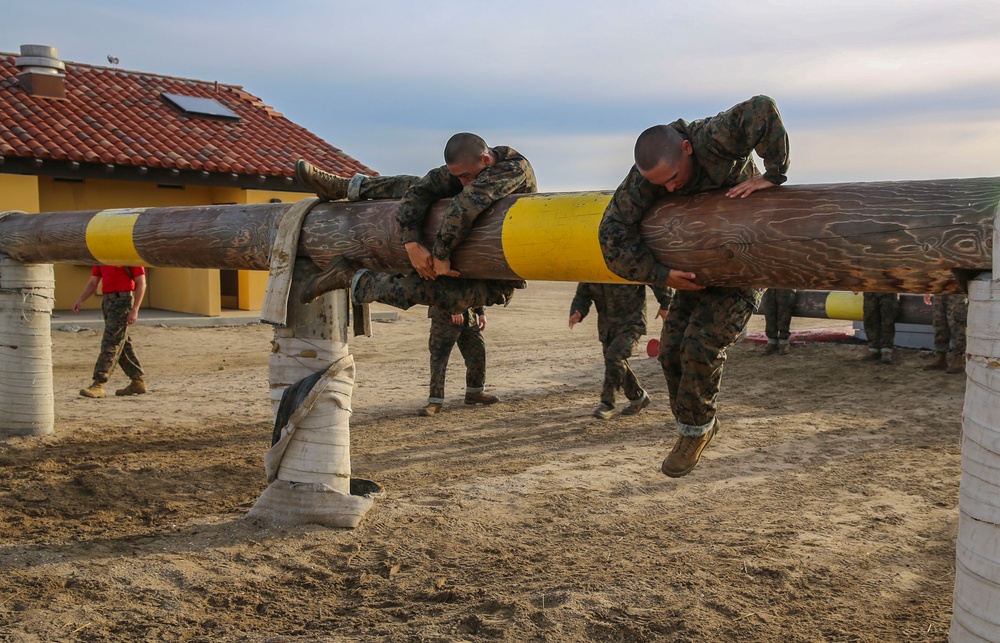 Recruits of Alpha Company are roped into Obstacle Course II