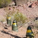Combat Center’s EOD, NREA collaborate