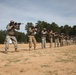 55th Signal Company (Combat Camera) Field Training Exercise