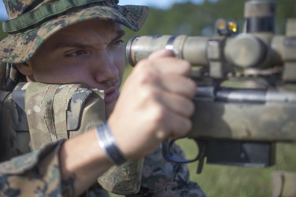 Scout Sniper Course Known Distance Qualification