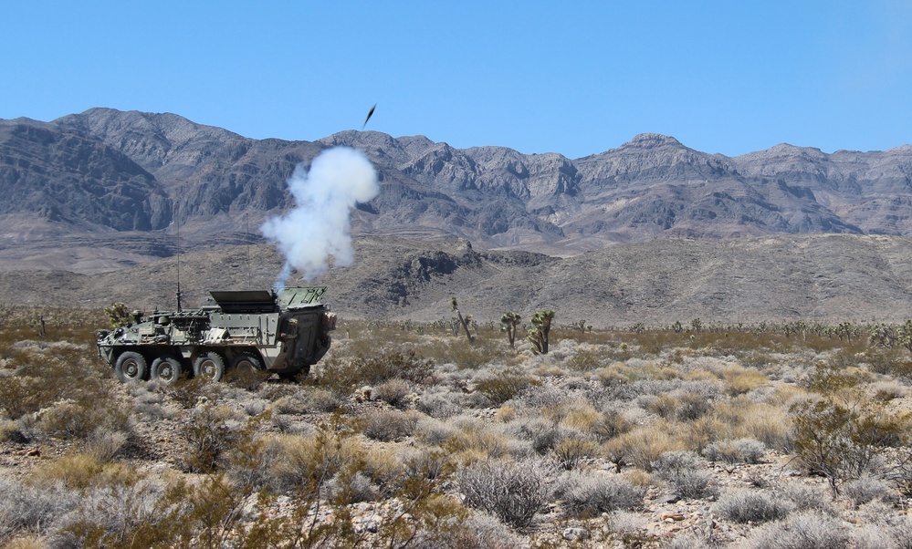 ‘Brave Rifles’ conduct live fire training with airmen