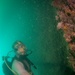 Navy divers inspect a pier in Bahrain