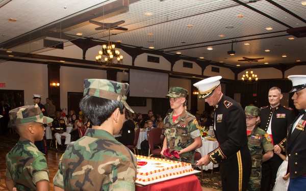 U.S. Marine Corps 3D MARDIV Kids' Ball