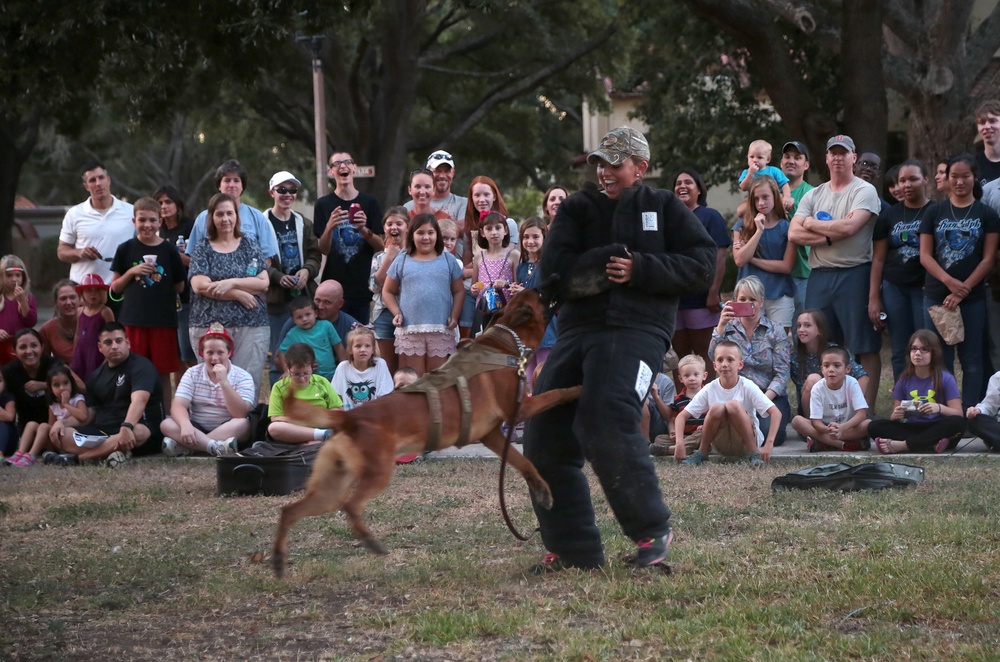 2015 National Night Out