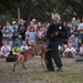 2015 National Night Out